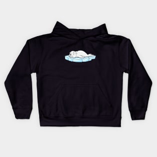 Seal on Ice Floe Kids Hoodie